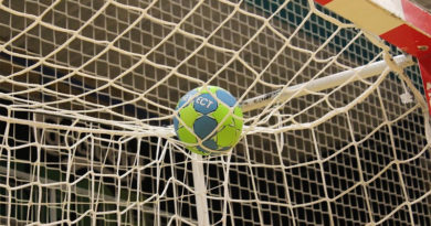 Handball im Tornetz